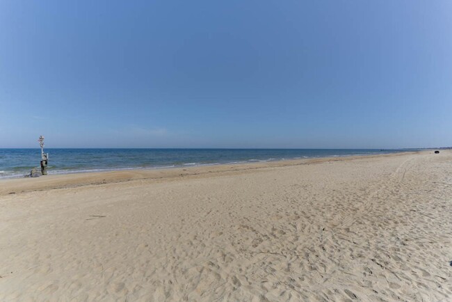 Building Photo - Perfect Beach Condo!