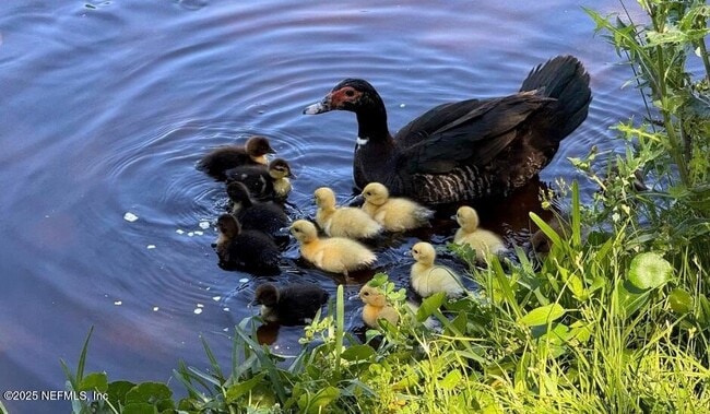 Building Photo - 237 N Hidden Tree Dr