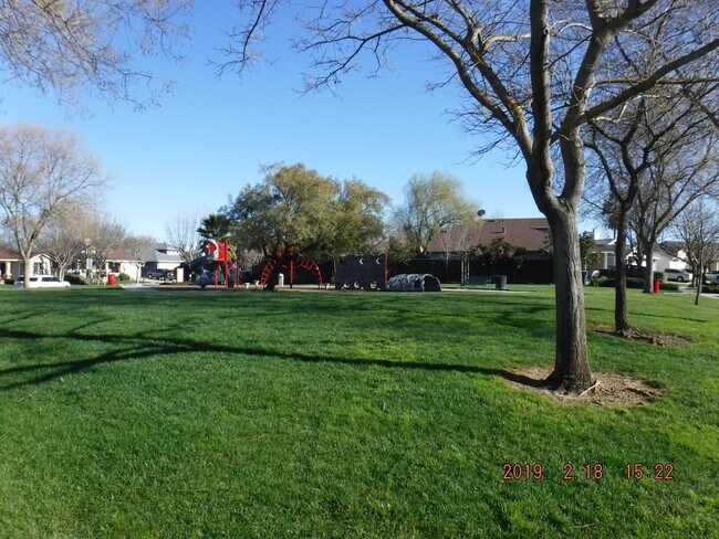 Building Photo - Single Story 3 Bed, 2 Bath in Brentwood