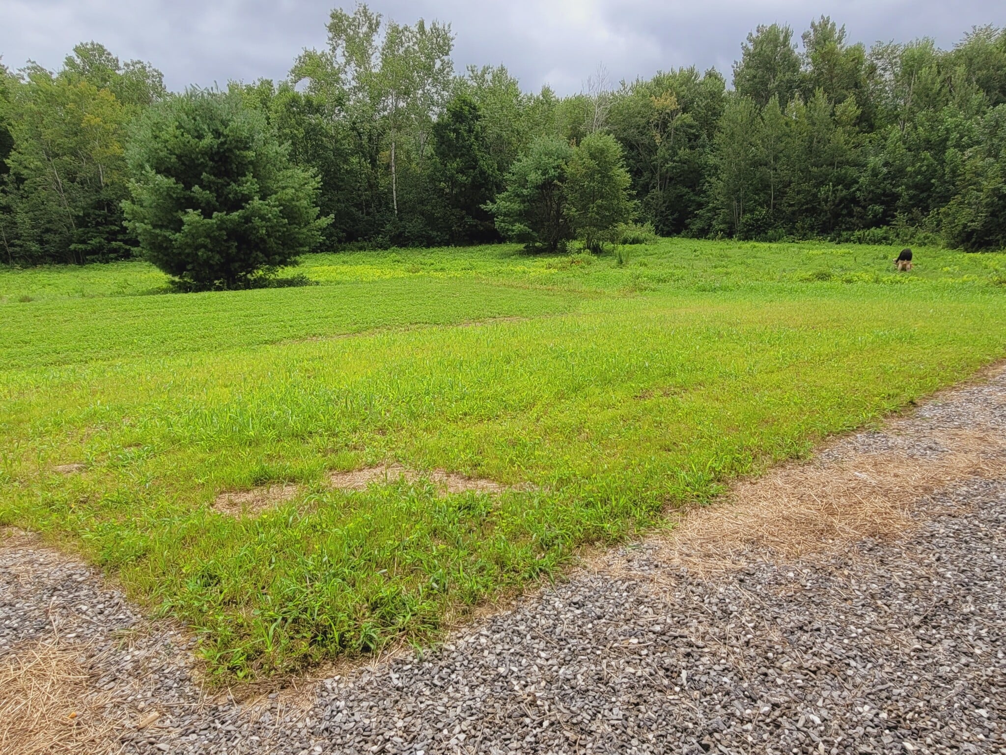 Building Photo - 8 Juniper Ln