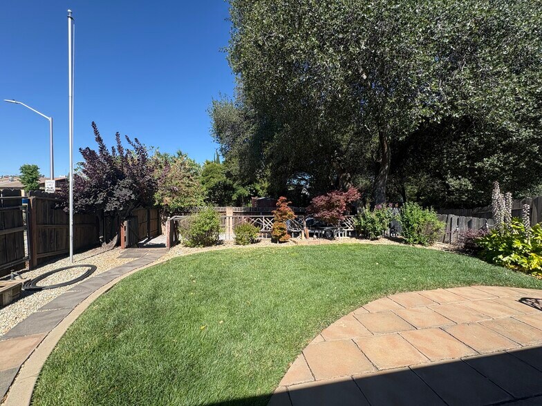 Building Photo - 4888 Lofty Oak Dr