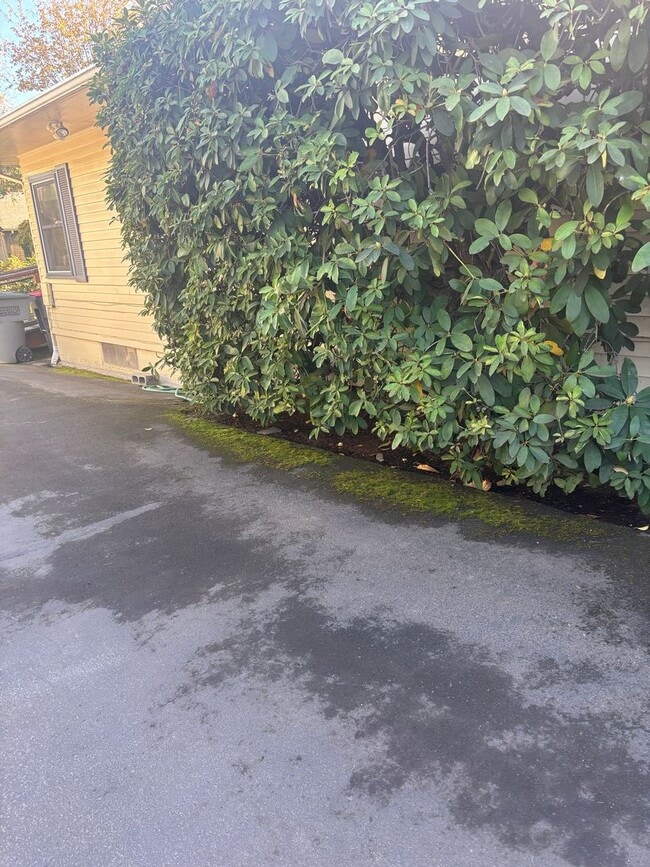 Building Photo - Enjoy 1.125 Acres near Downtown McMinnville