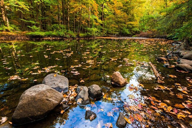 Building Photo - 64 Montebello Rd