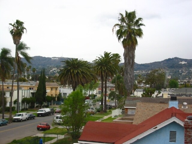 View of the Hollywood Hills - 564 N Ardmore Ave
