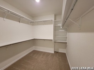 Building Photo - 7621 Lorca