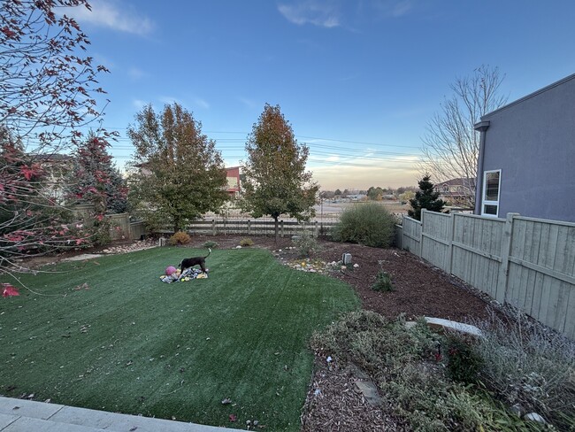 Building Photo - 1814 Blue Star Ln