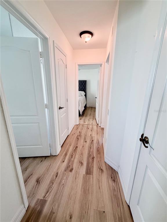 Building Photo - 3267 Amaca Cir