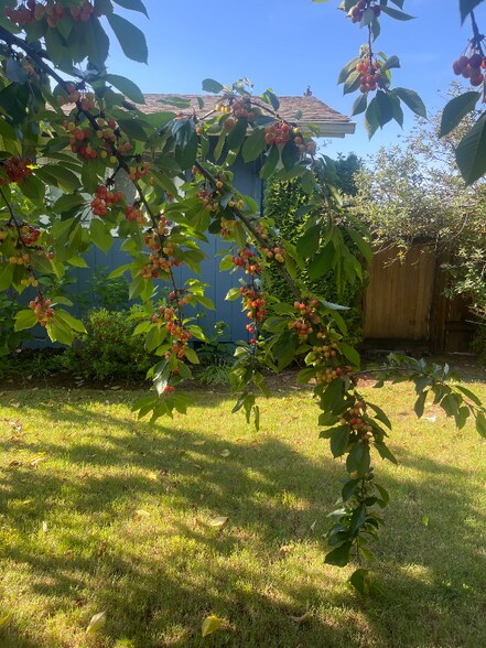 Building Photo - 305 Rosewood St