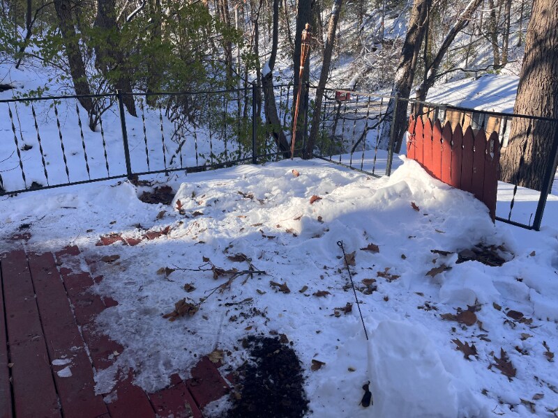 Building Photo - 204 Pekin Ave