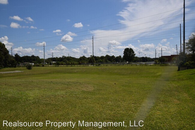 Building Photo - 4 br, 3 bath House - 32107 Spring Meadow Ct.