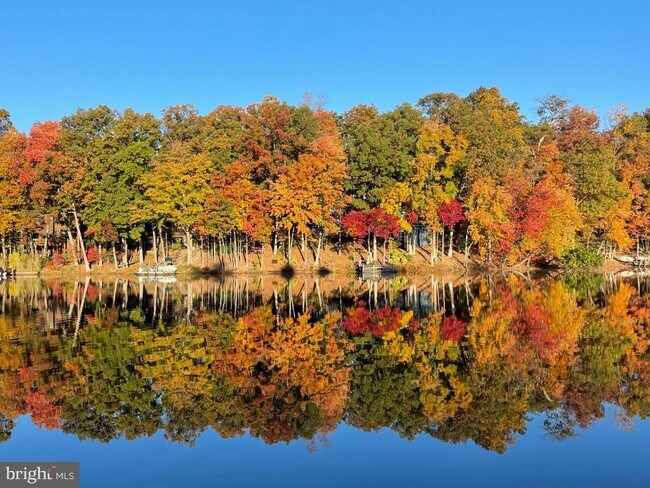 Building Photo - 11218 Harbor Ct