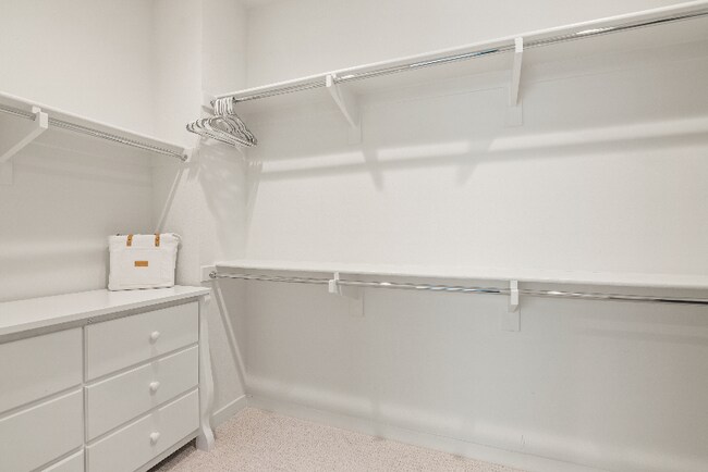 Building Photo - 4854 Parsley Ln