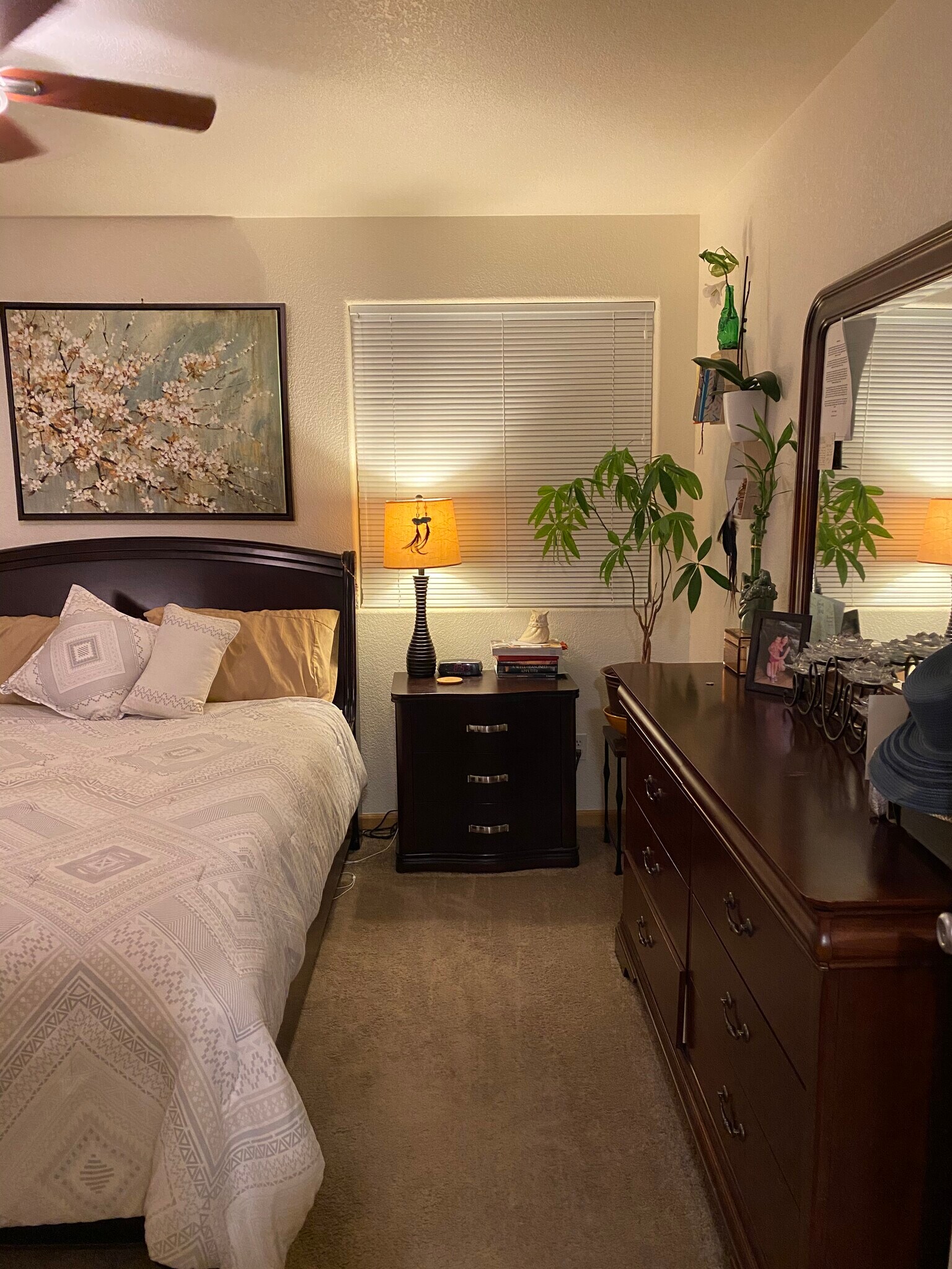 Primary - 3761 Mt Flora St