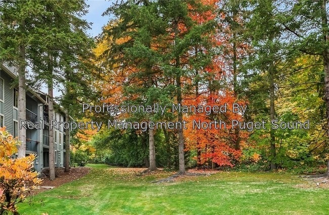 Building Photo - 4717 W Lake Sammamish Pkwy SE