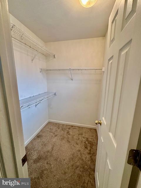 Building Photo - 165 Lexington Ct