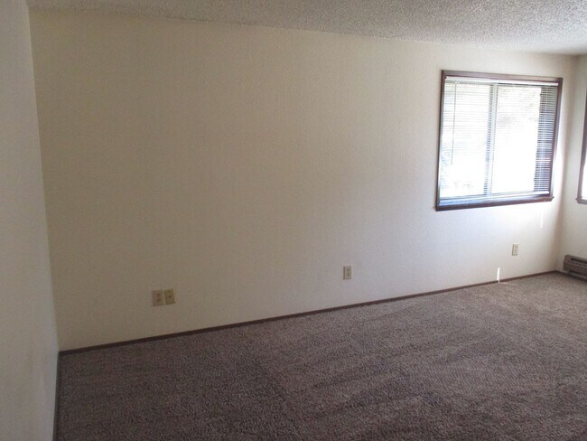 Building Photo - Paige - 13104