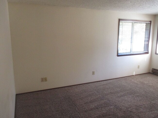 Building Photo - Paige-13104