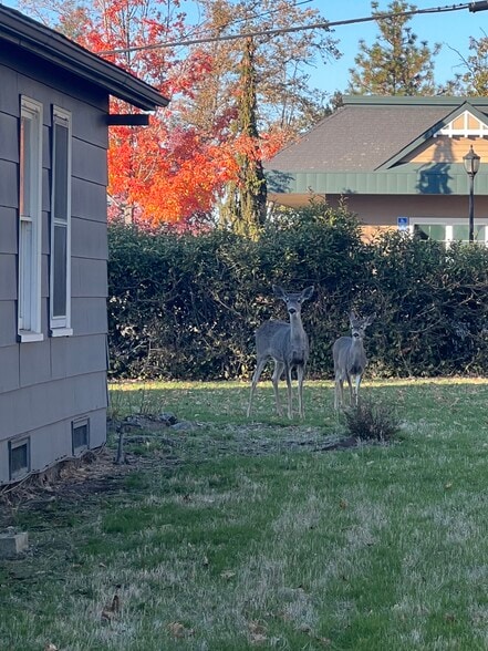 Building Photo - 50 Alta Vista Rd