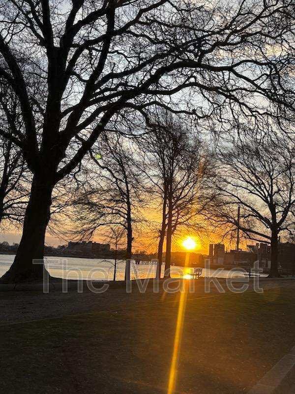 Building Photo - 75 Avalon Ave