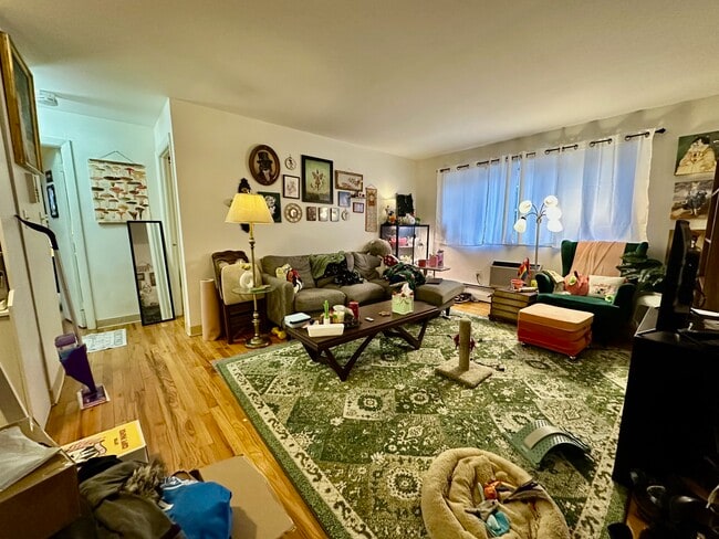 Building Photo - 245 Kelton St