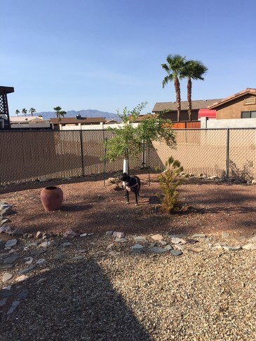 Building Photo - 1961 Park Terrace Pl