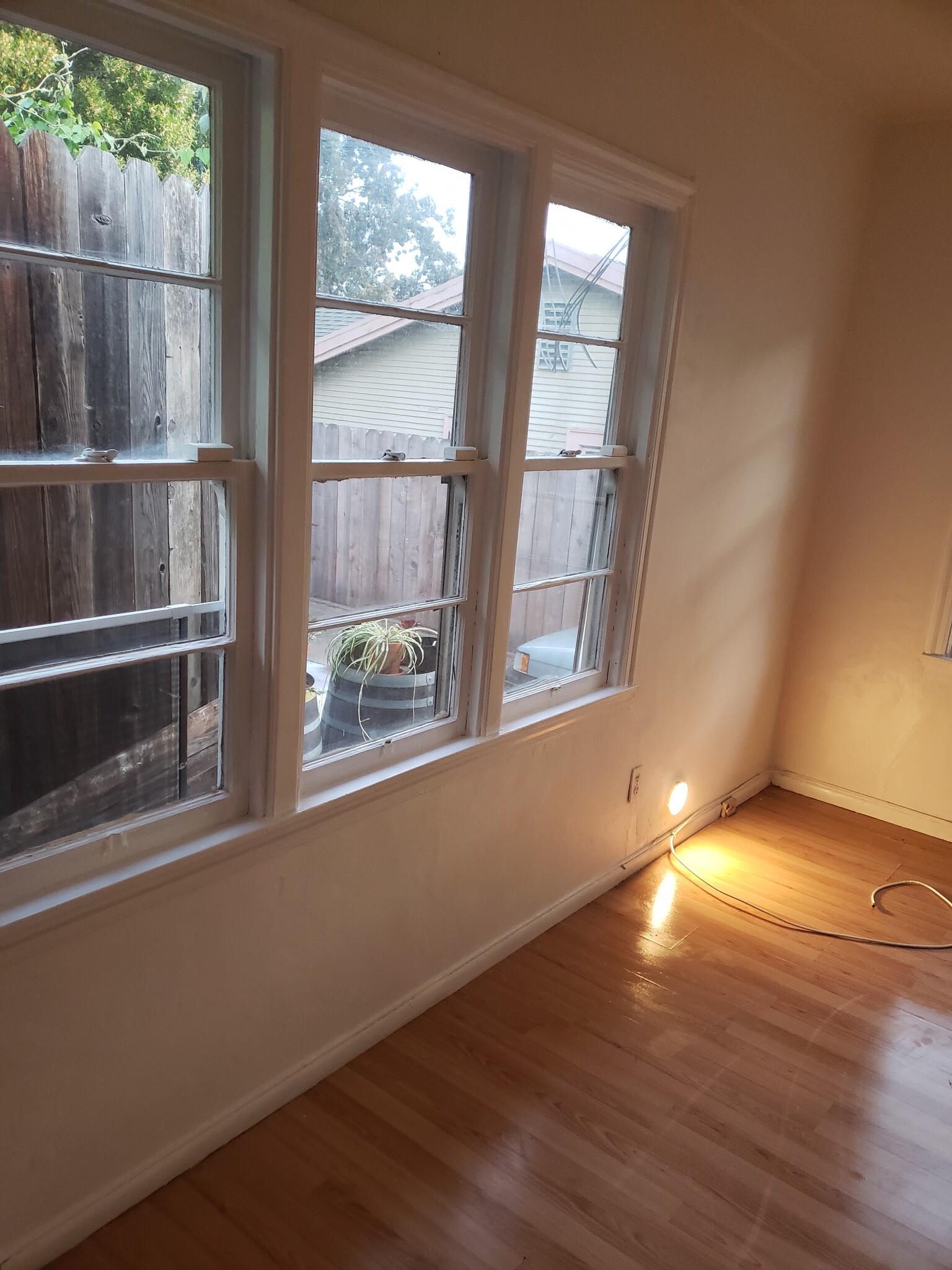 Living room - 3482 Midvale Ave