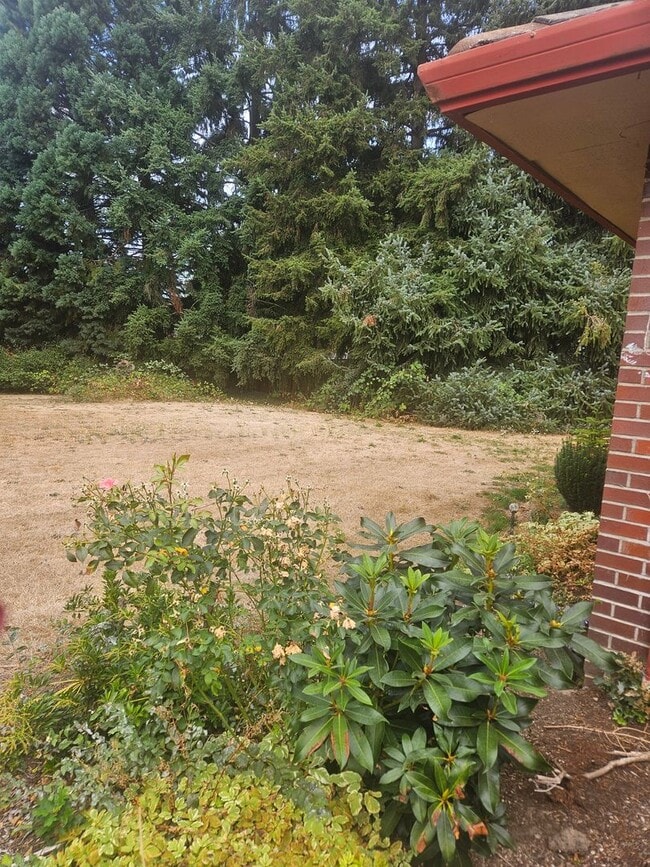 Building Photo - Spacious 4 bedroom/2.5 bath home on 1.5 acres