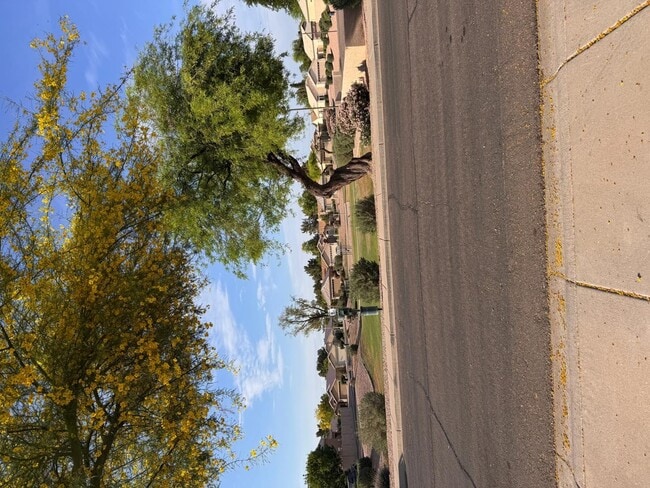 Building Photo - 979 E Brentrup Dr