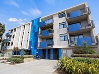 Building Photo - Palms Blue by Wiseman