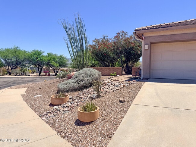 Building Photo - 4579 S Camino del Tejon