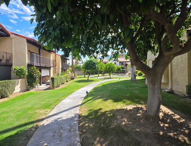 Building Photo - 2160 S Palm Canyon Dr