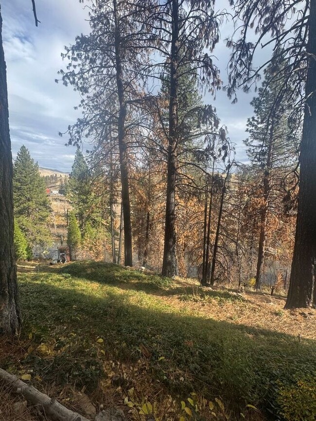 Building Photo - Charming Riverfront Cottage in Verdi – One...