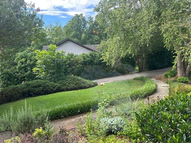 Building Photo - Large Weaverville Rental!