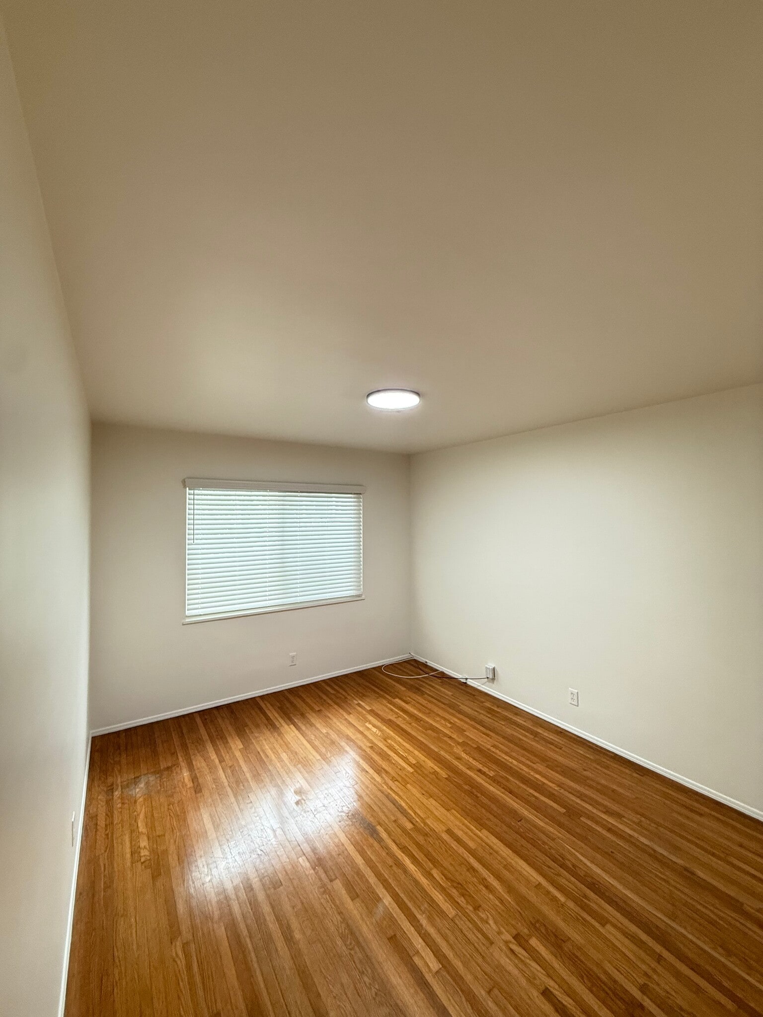 Building Photo - 286 Homer Ave