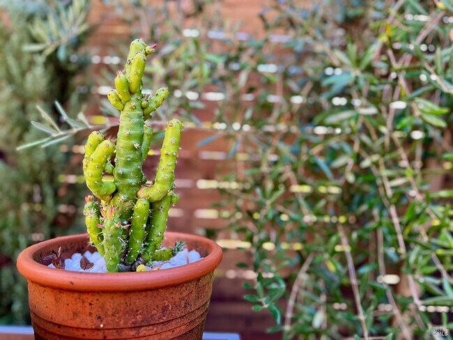 Building Photo - 1813 Fair Way