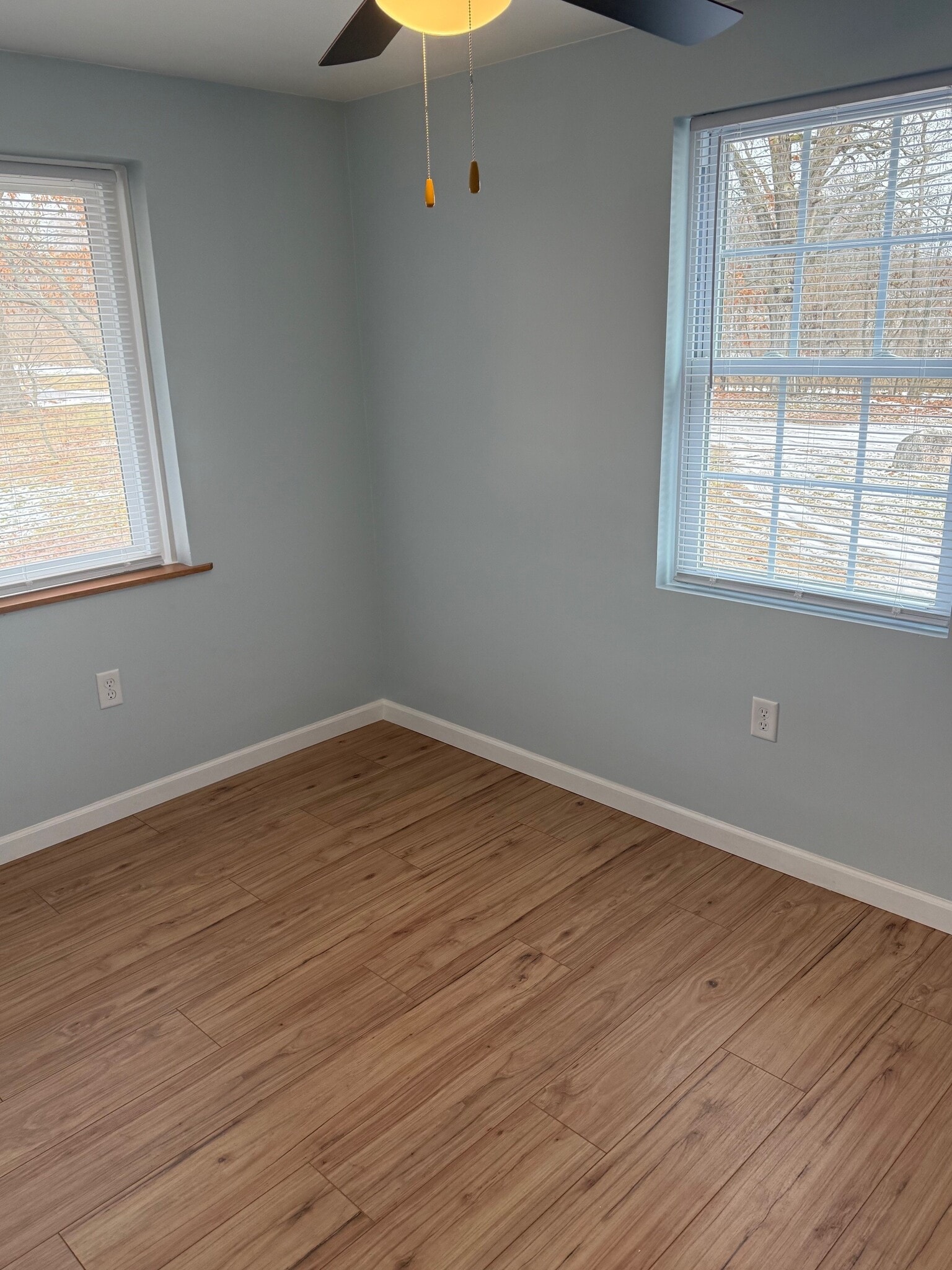 Bedroom 2 - 19912 Adams Rd