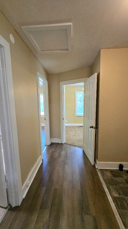 Building Photo - 1229 Greenfield Dr