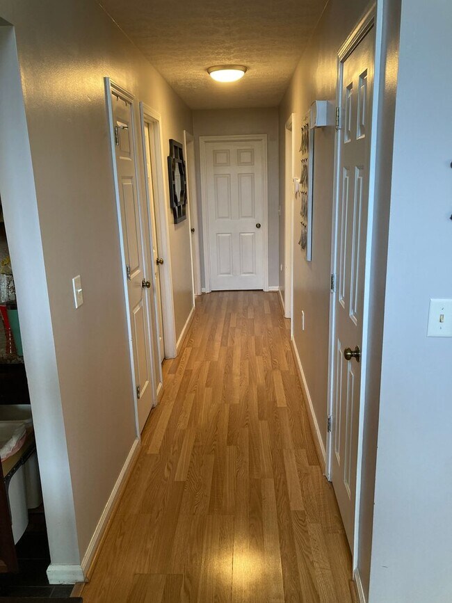 Building Photo - Spacious Split-Level Home for Rent in Woodbine – Minutes to VT & Downtown