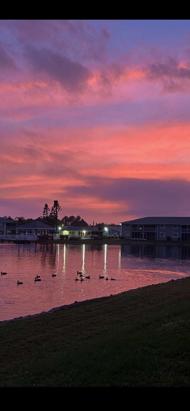 Building Photo - Room For Rent - lake front condo