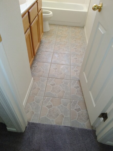 Hall bath - 1671 N Garrett Dr