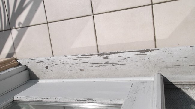 Building Photo - 1842 10th St