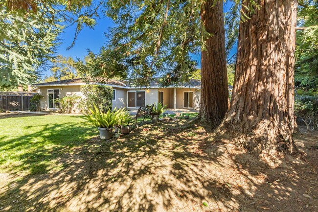 Building Photo - Beautiful Remodeled 5-Bedroom Los Altos Home