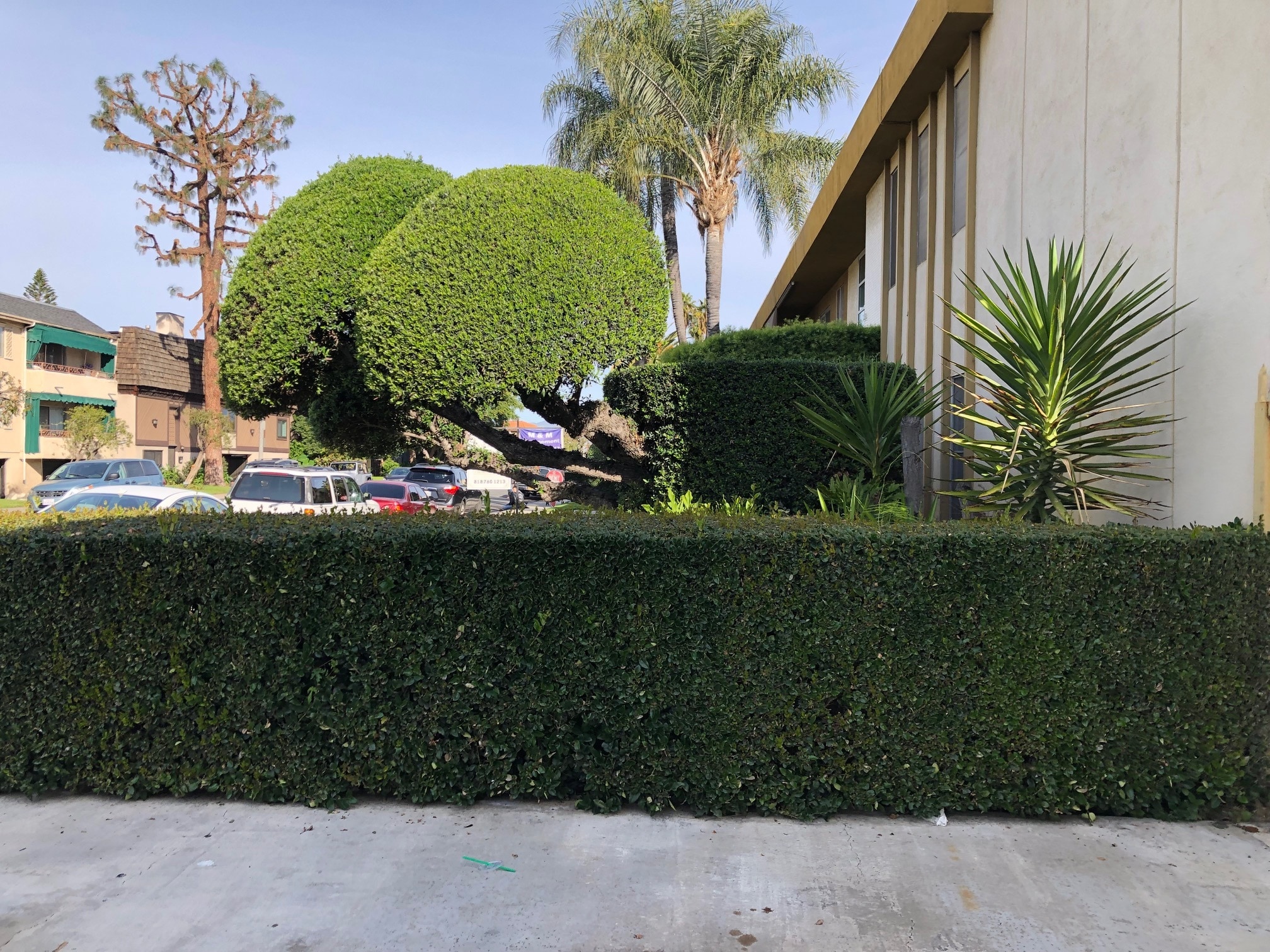 Building Photo - 5430 Corteen Pl