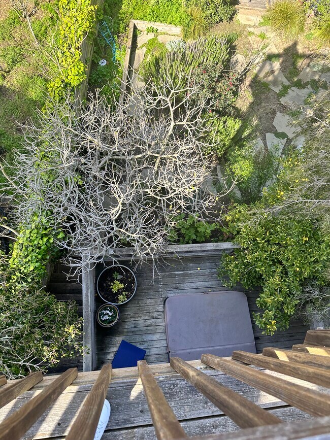 Building Photo - 890 Cragmont Ave