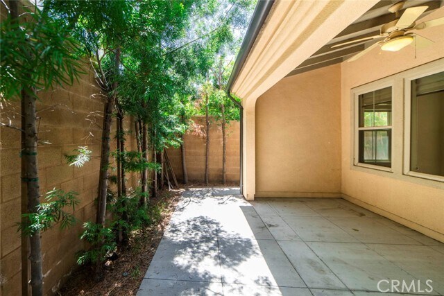 Building Photo - 33 Bromeliad
