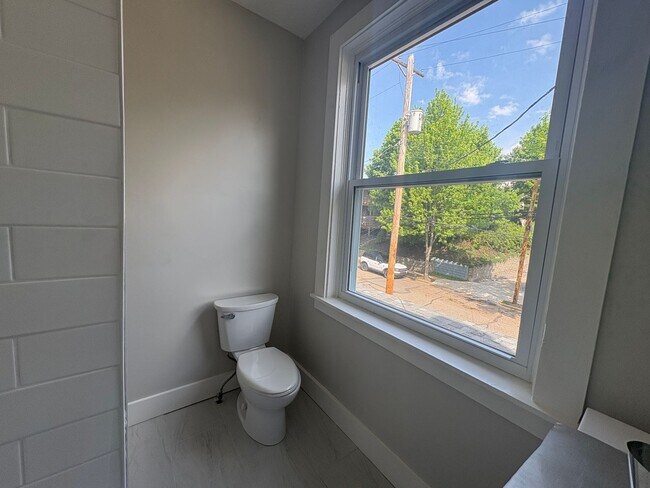 Building Photo - Huge Newly Renovated 4 Bedroom/2 Bath House in Bellevue!