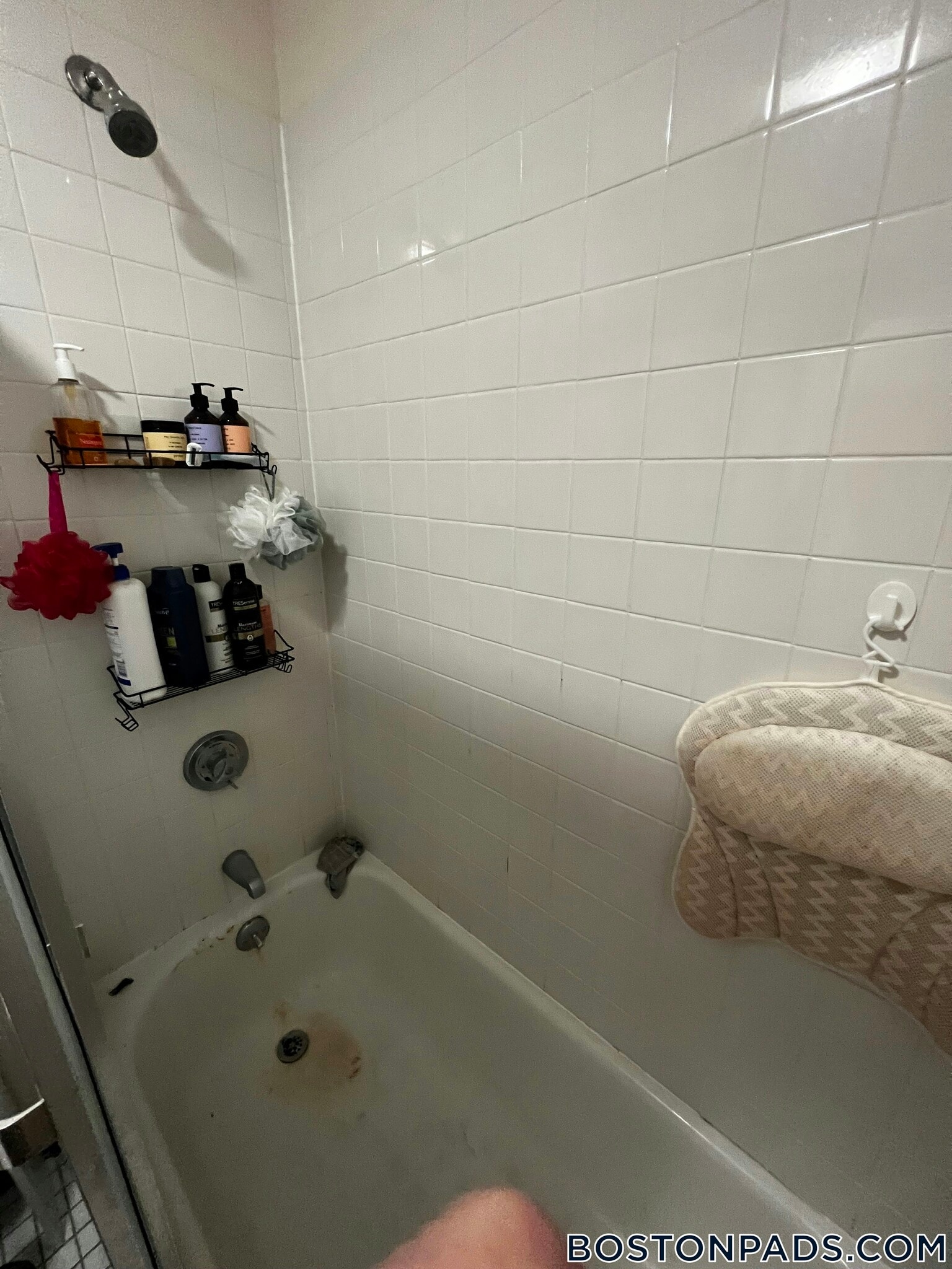 Building Photo - 81 Essex St