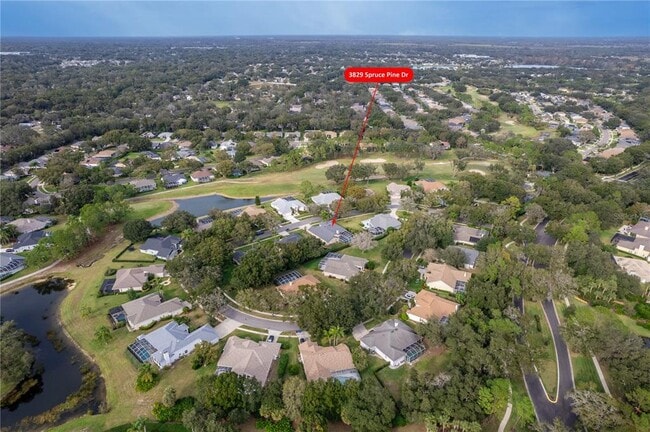 Building Photo - 3829 Spruce Pine Dr