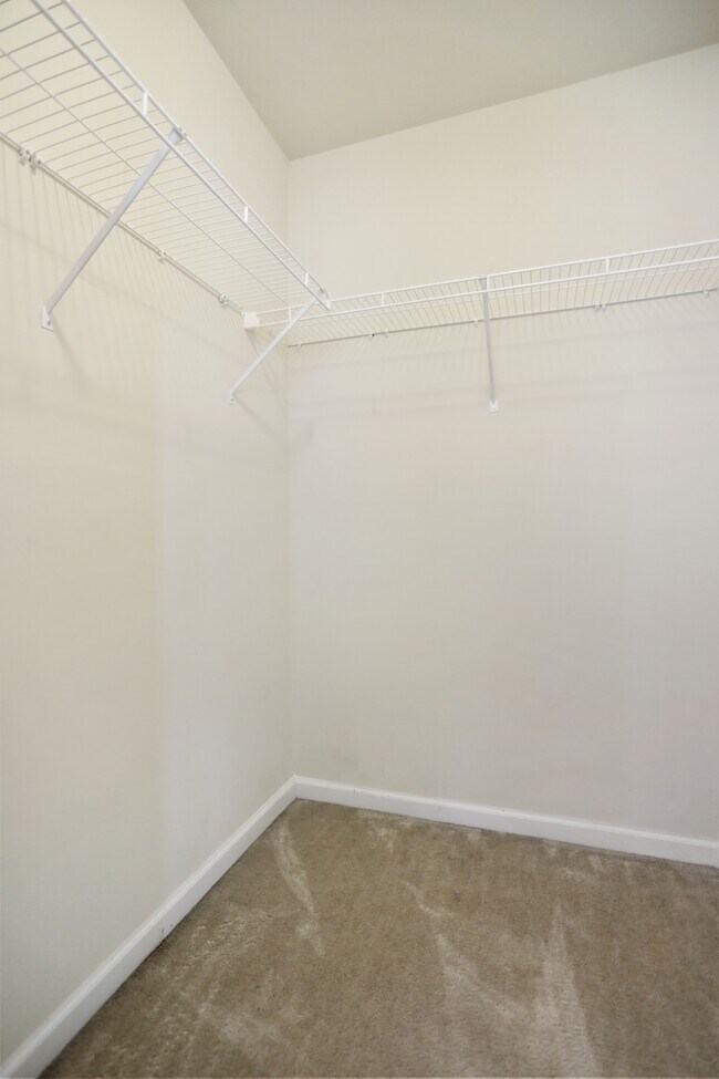 Building Photo - 18 Chillingham Ct