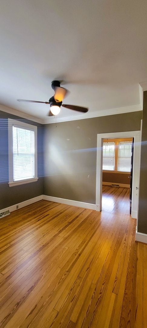 Building Photo - Charming 2 bedroom bungalow in Lakeside/Staples Mill area.